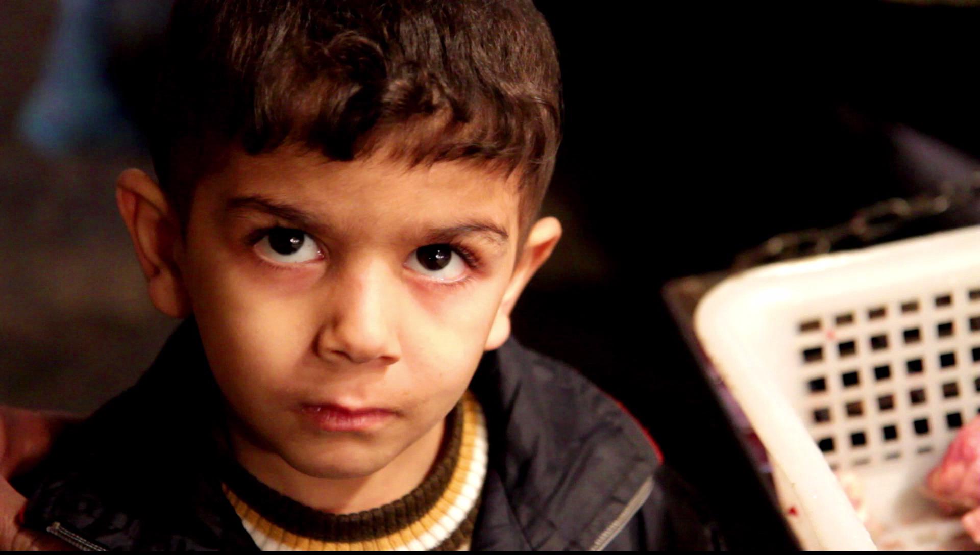 Camp Faces – Boston Palestine Film Festival